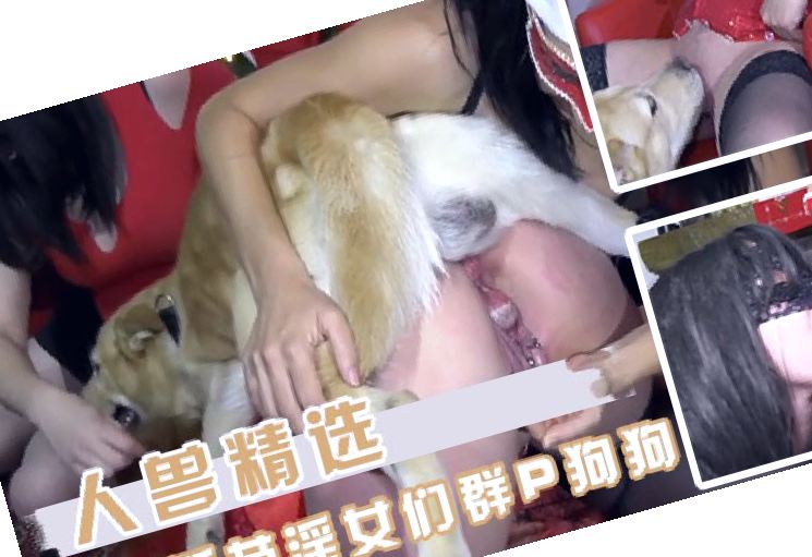 日本高清免费一本视频在线观看,大陆精大陆国产国语精品久久