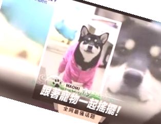 久久伊人热热精品中文字幕 ,影音先锋在线观看资源无码视频网站